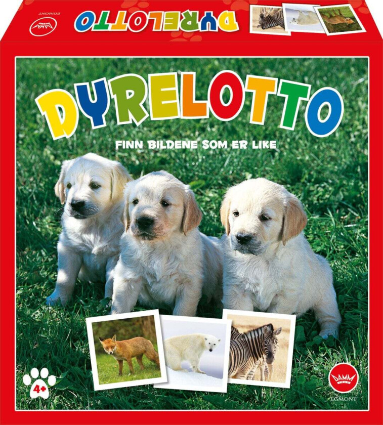 Spill Dyrelotto Fotografisk
