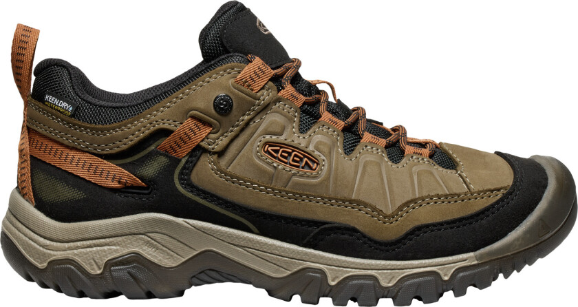 Men's  Targhee IV Waterproof  Sea Turtle/Roasted Pecan