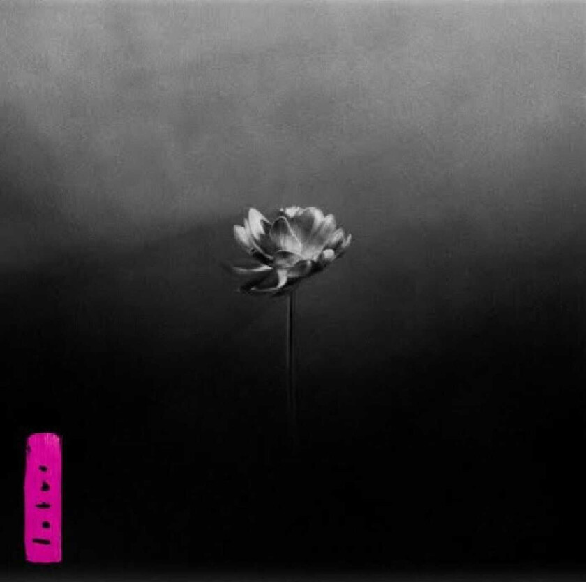 Little Simz Lotus CD