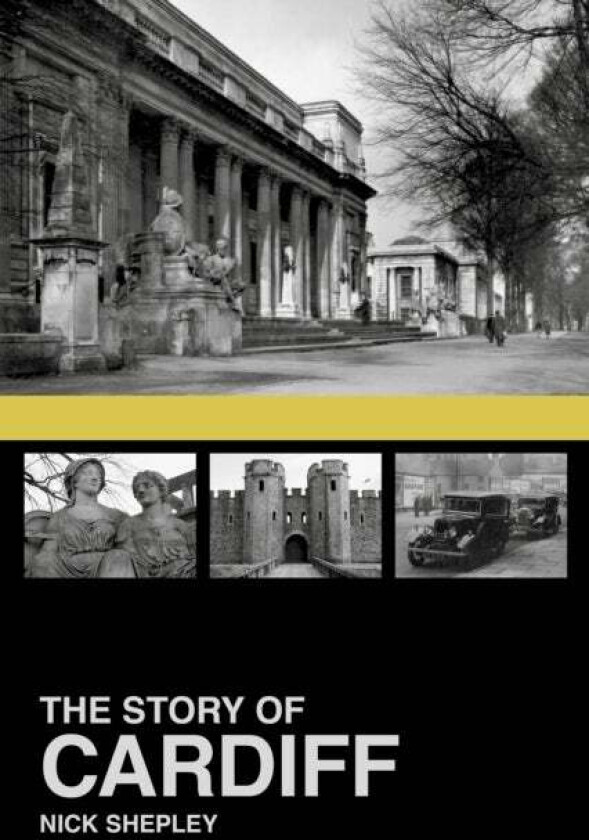 The Story of Cardiff av Nick Shepley