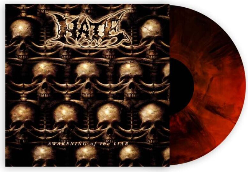 LP - Awakening of the liar - Unisex - standard