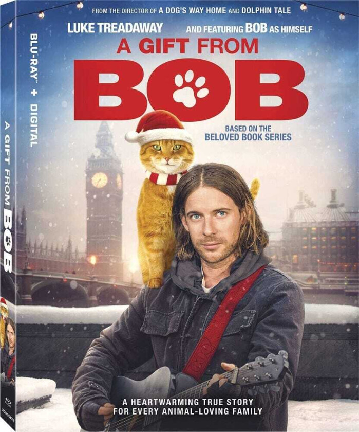 Gift From Bob Bluray