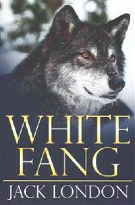 White Fang