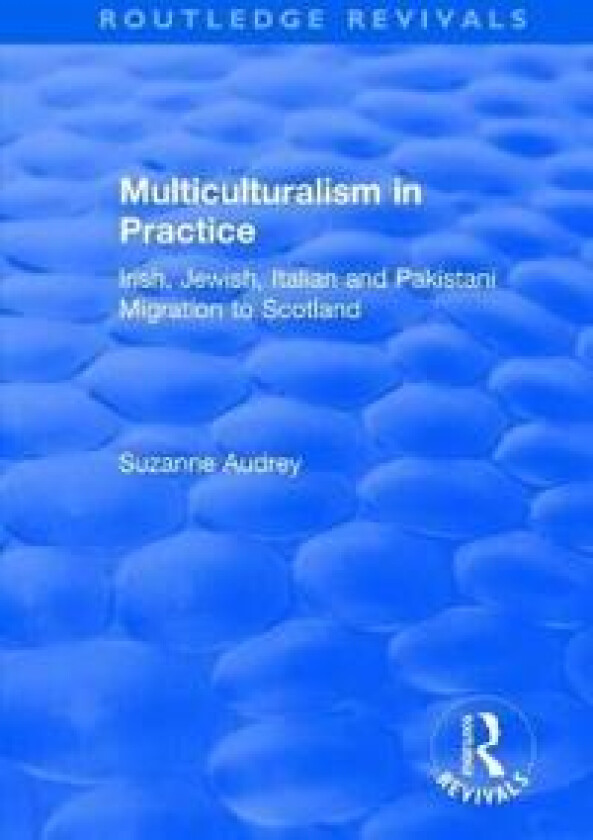 Multiculturalism in Practice