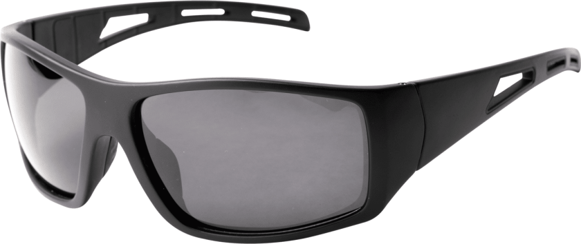 046 sunglasses Black/Smoke, solbriller, unisex Black / POL Smoke