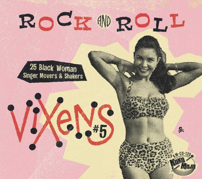 Diverse Artister Rock And Roll Vixens 5 CD