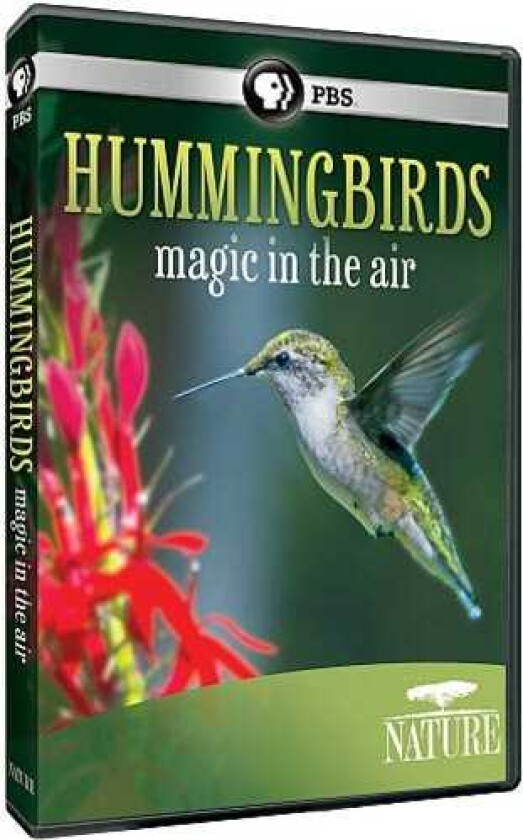 Nature: Hummingbirds DVD