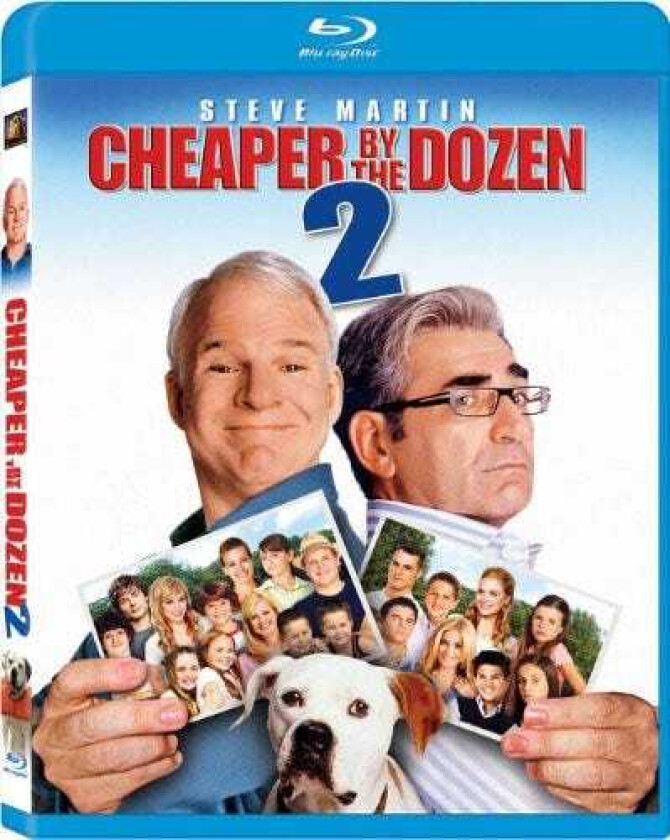 Cheaper By The Dozen 2 Bluray