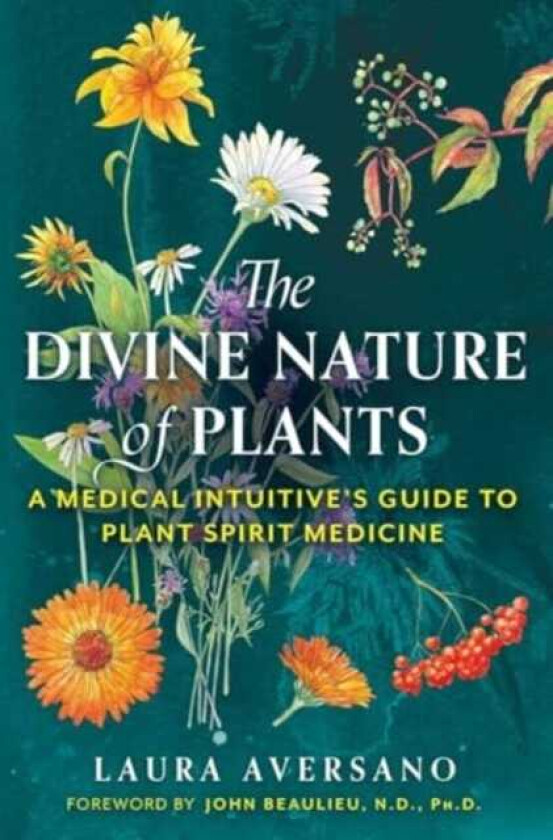 The Divine Nature of Plants A Medical Intuitive's Guide to Plant Spirit Medicine