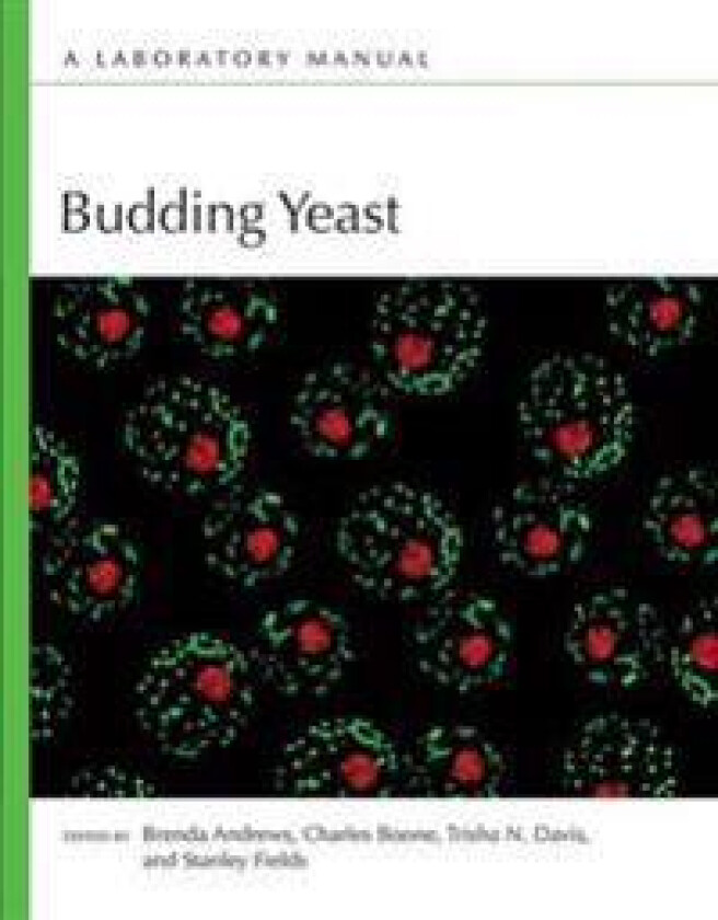 Budding Yeast