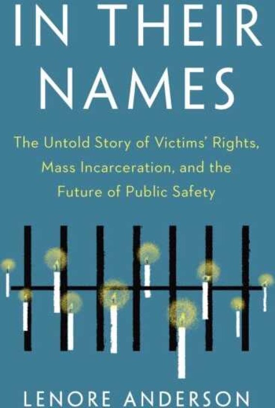 In Their Names The Untold Story of Victims' Rights, Mass Incarceration, and the Future of Public Safety