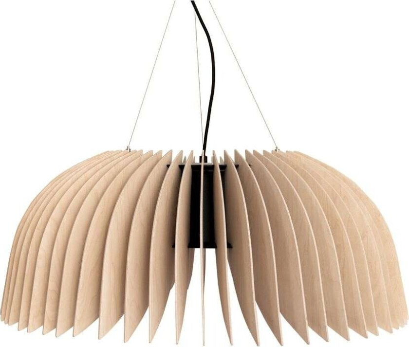 - Verna 77 Pendel Birch