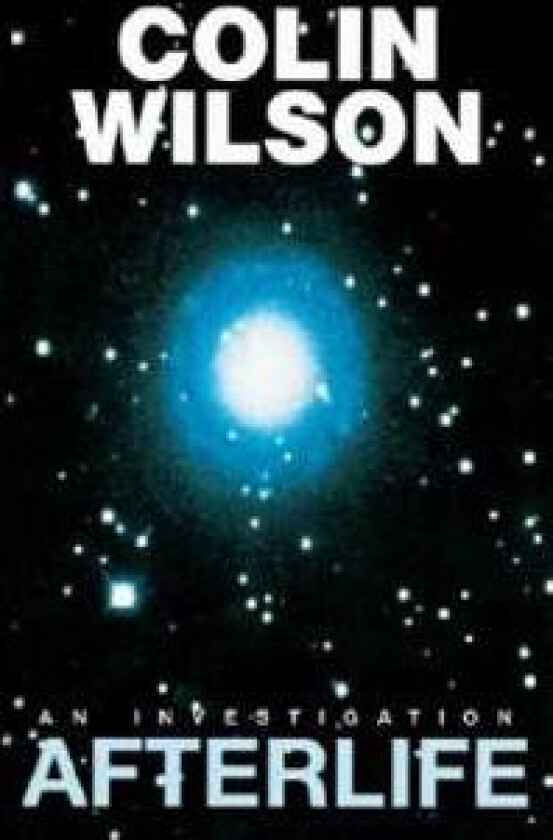 Afterlife: An Investigation