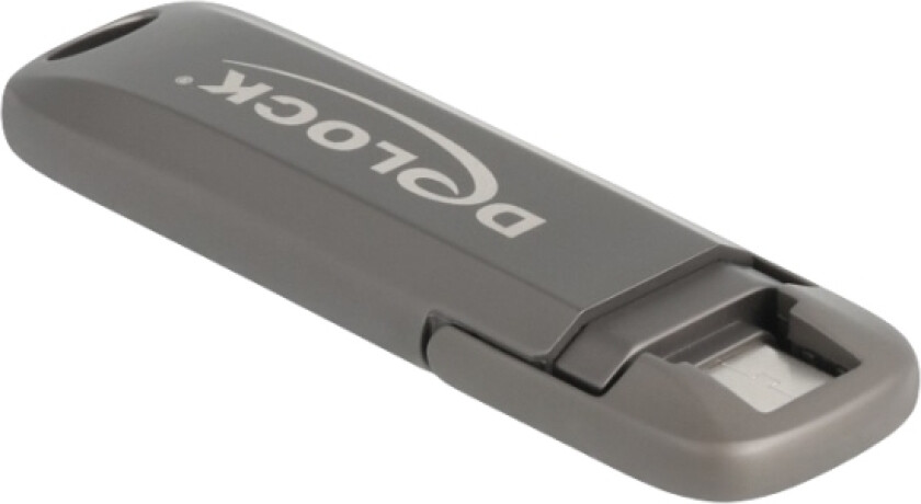Delock Usb 20 Gbps Usb-C Minnepinne 256 Gb, Lesehastighet 1980 Mb/S - Metallhus