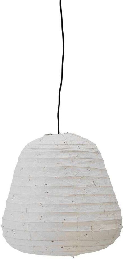 - Leena Pendel Nature/Paper