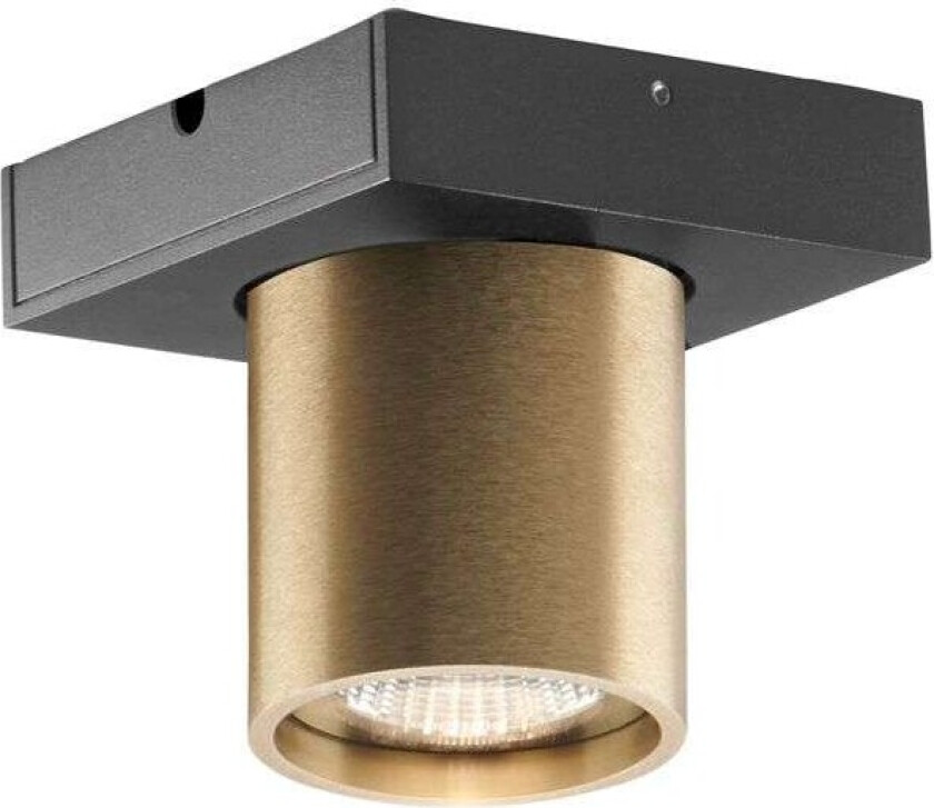 - Focus 1 LED Taklampe 2700K Brass