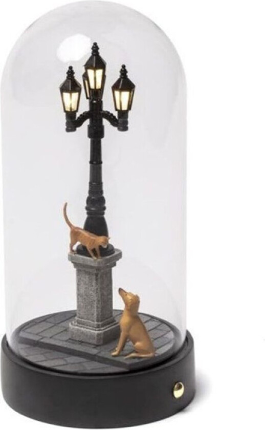 - My Little Evening Bordlampe