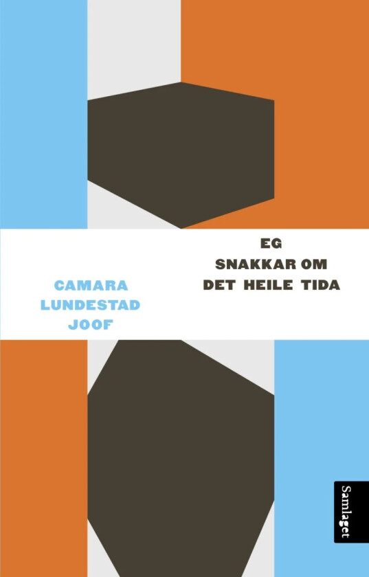 Eg snakkar om det heile tida av Camara Lundestad Joof