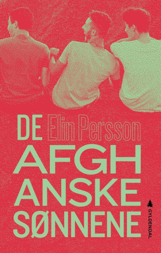 De afghanske sønnene av Elin Persson