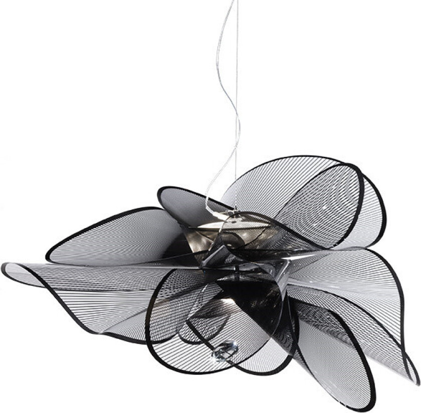 - La Belle Etoile Pendel S Transparent/Black