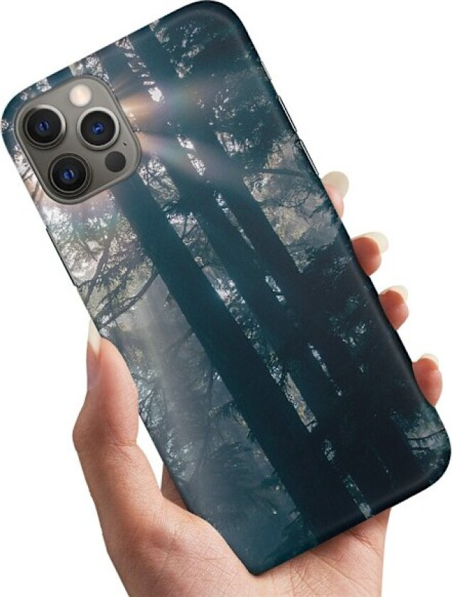 iPhone 16 Pro - Deksel/Mobildeksel Sunshine