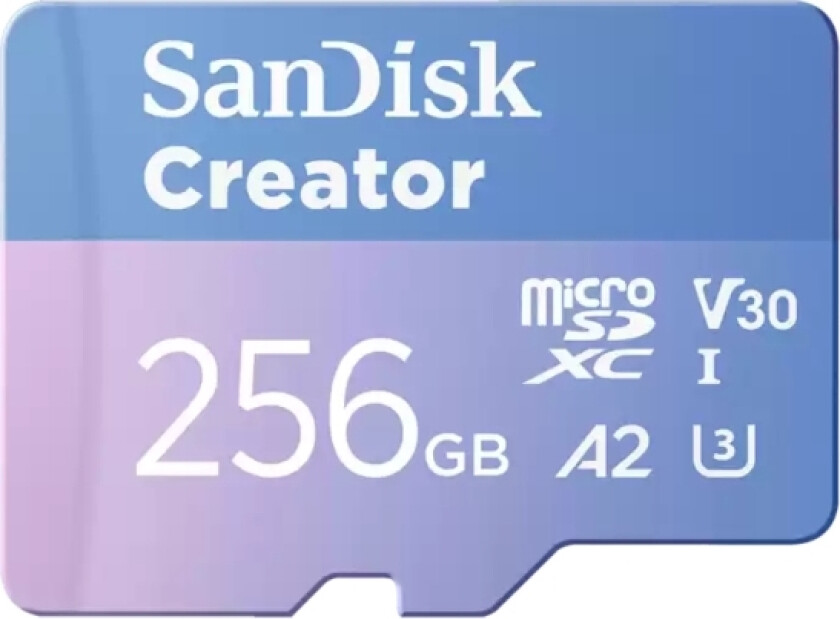 Sandisk Creator Microsd 256Gb