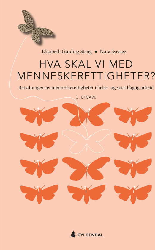 Hva skal vi med menneskerettigheter betydningen av menneskerettigheter i helse og sosialfaglig arbeid