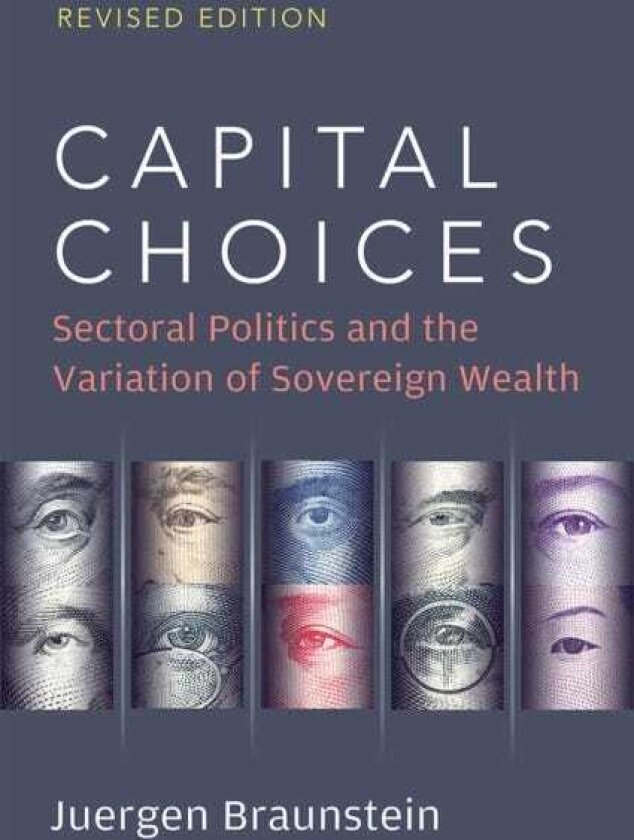 Capital Choices Sectoral Politics and the Variation of Sovereign Wealth