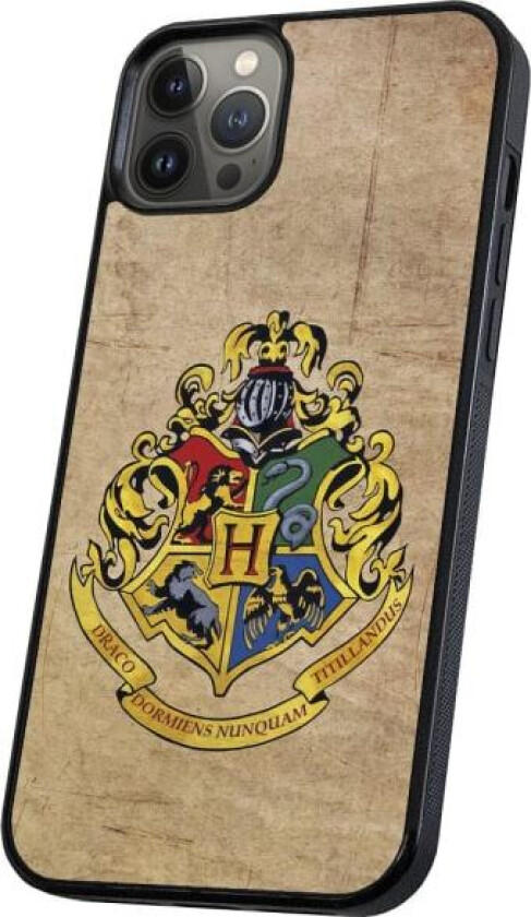 iPhone 11 Pro - Deksel/Mobildeksel Harry Potter Multicolor
