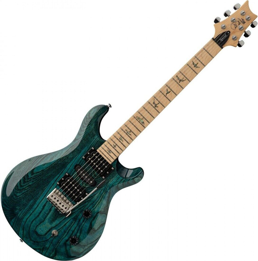 SE Swamp Ash Special IB