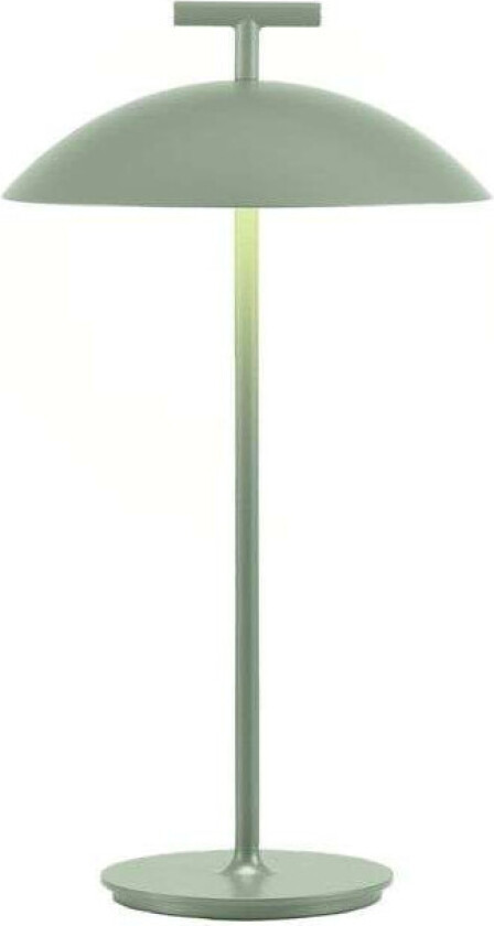 - Mini Geen-A Portable Bordlampe Green