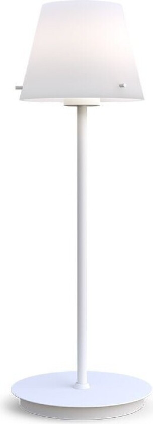- Gil Bordlampe White
