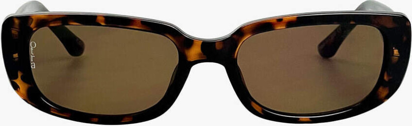 Backstreet Tort/Brown