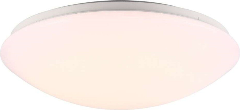 - Ask 36 LED Taklampe IP44 w/Sensor White