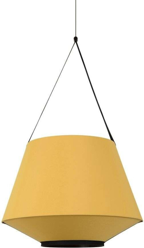 - Carrie Pendel M Curry