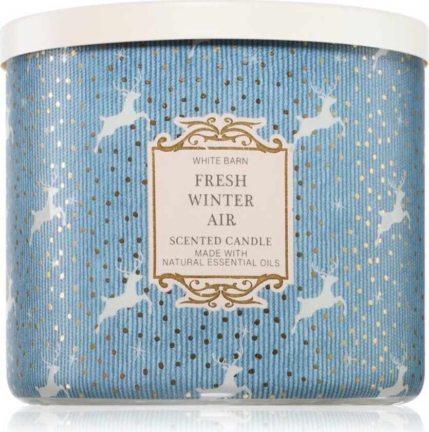 Fresh Winter Air duftlys 411 g