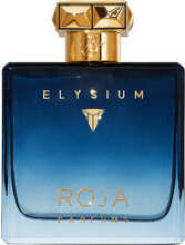 Roja parfums Elysium for menn EDP - 100 ml