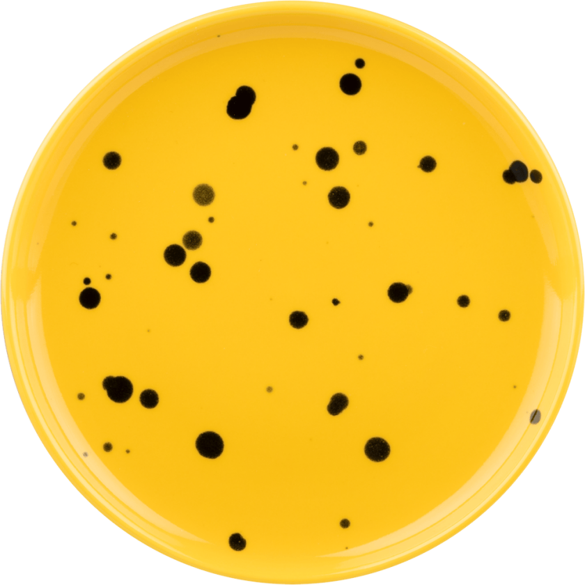 Oiva tallerken Ø13,5 cm. Yellow-black