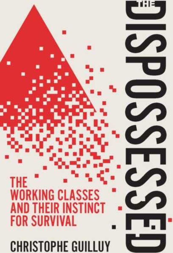 The Dispossessed The Working Classes and Their Instinct For Survival