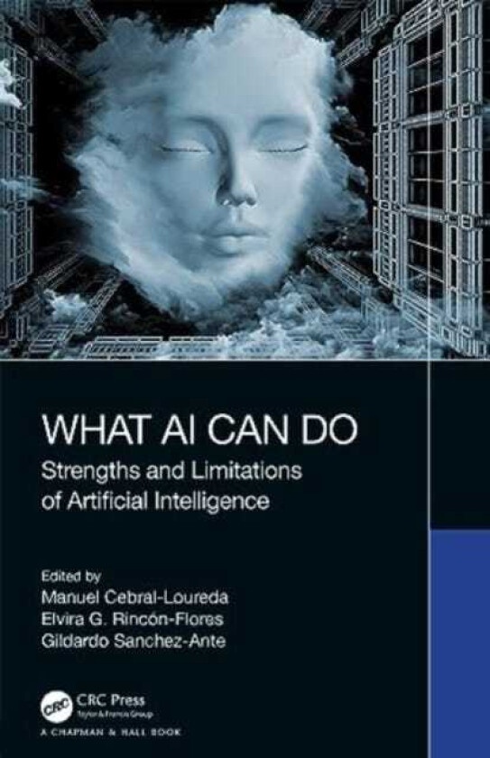 What AI Can Do Strengths and Limitations of Artificial Intelligence