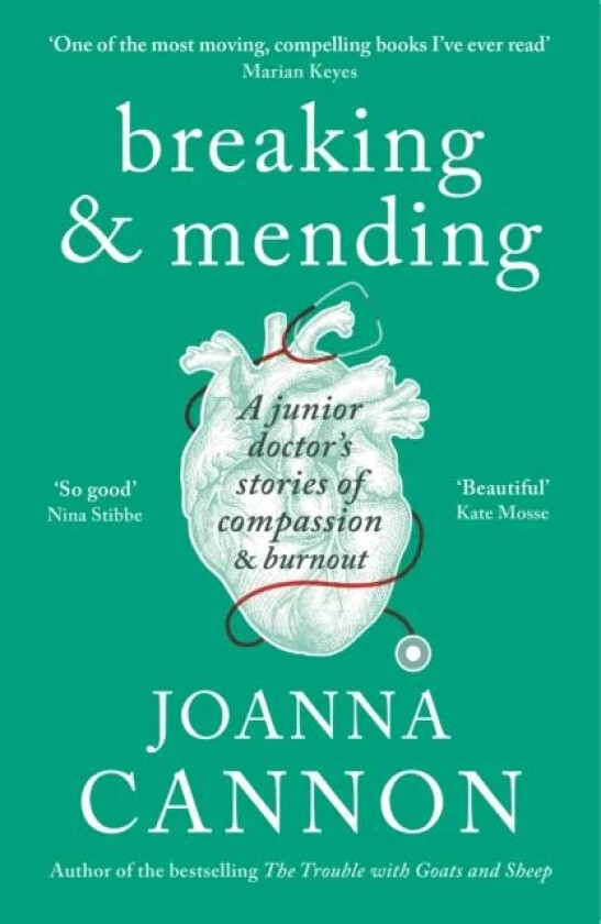 Breaking & Mending av Joanna Cannon