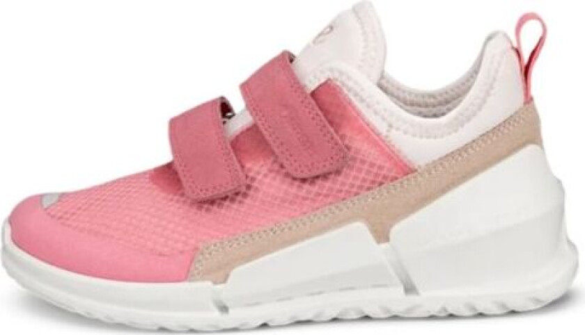 Biom K1 Quick Fastener