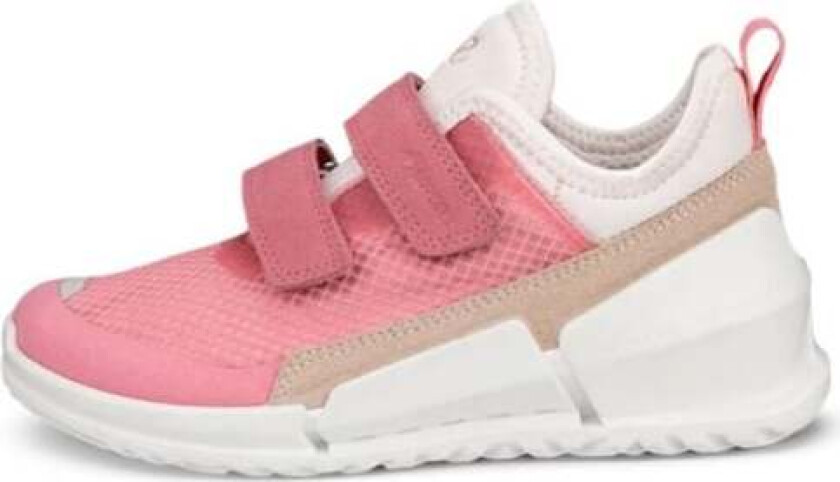 Biom K1 Quick Fastener