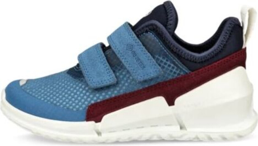 Biom K1 Quick Fastener