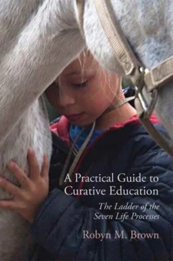 A Practical Guide to Curative Education av Robyn Brown