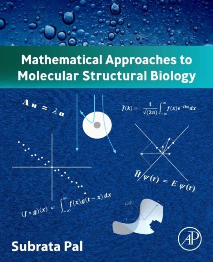 Mathematical Approaches to Molecular Structural Biology av Subrata (Professor (retired) Jadavpur University Kolkata India) Pal