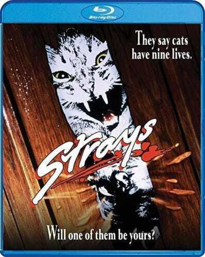 Strays (1991) Bluray