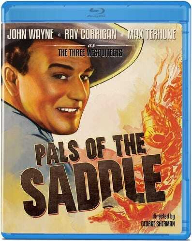 Pals Of The Saddle Bluray