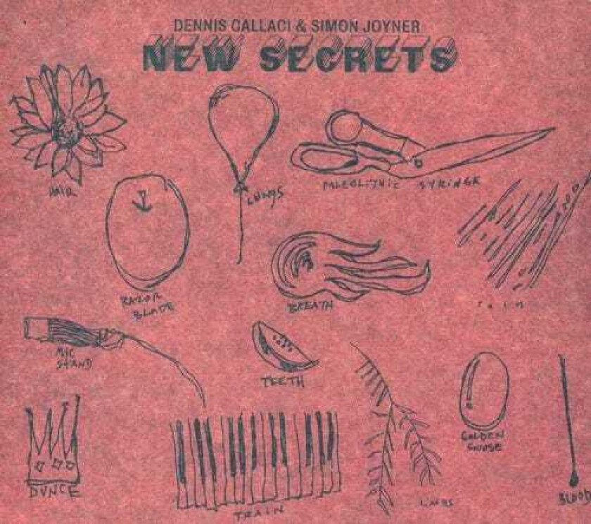 Simon Joyner New Secrets CD