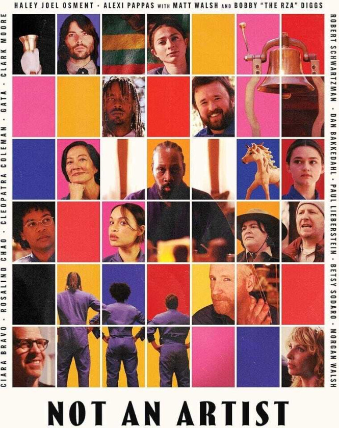 Not An Artist Bluray